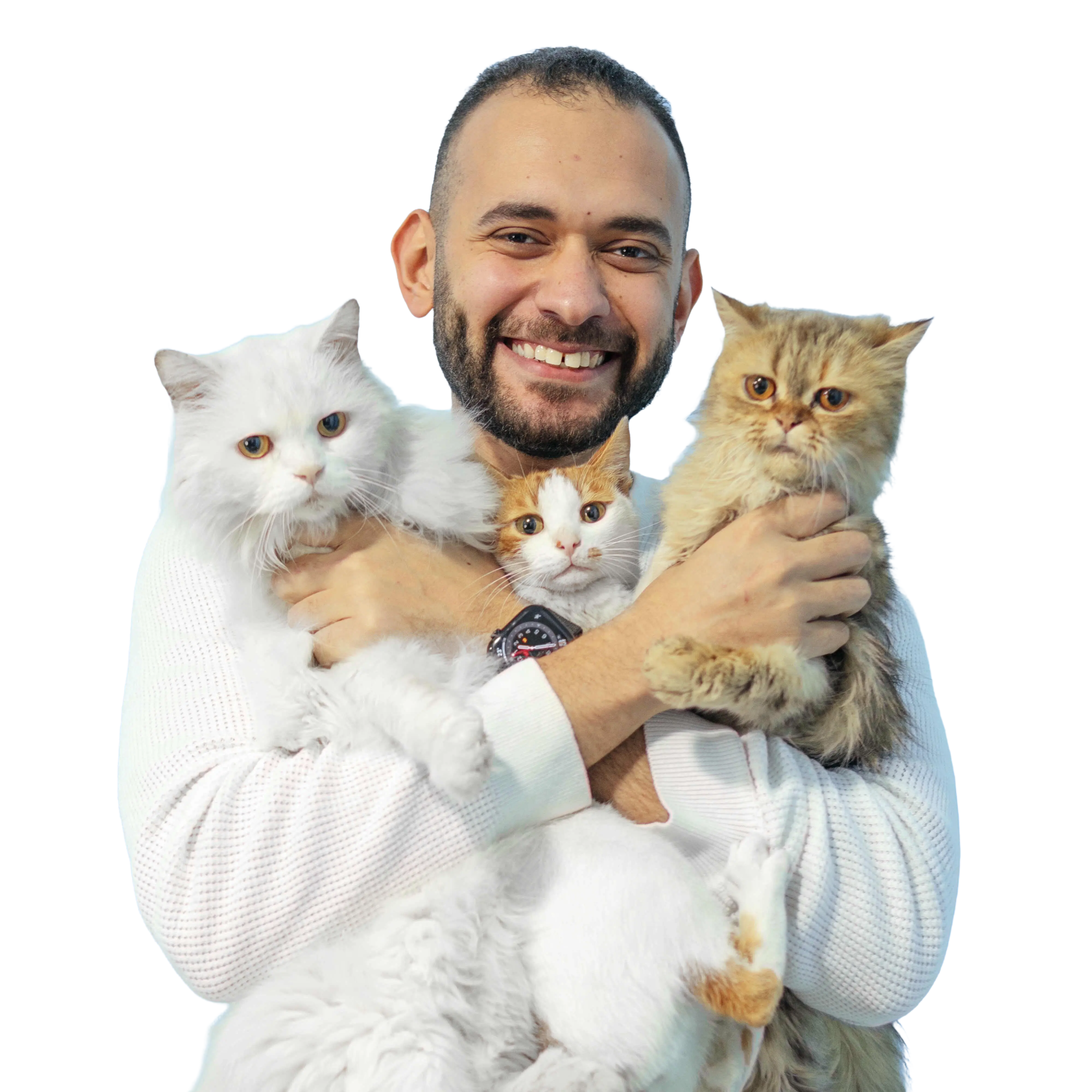 Mohamed Raafat avatar